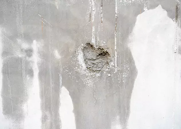 Your Mold Mitigation Solutions Partner in Rockmart, GA