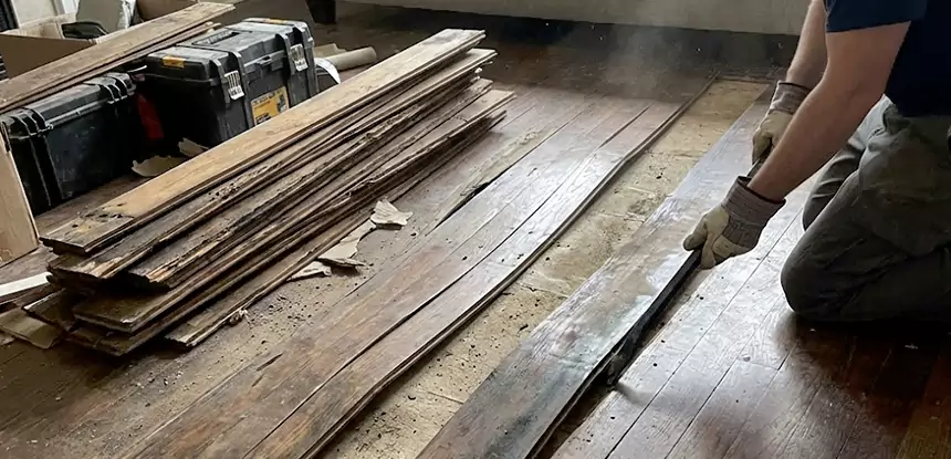 Wood Rot and Fungus Repair in Rockmart