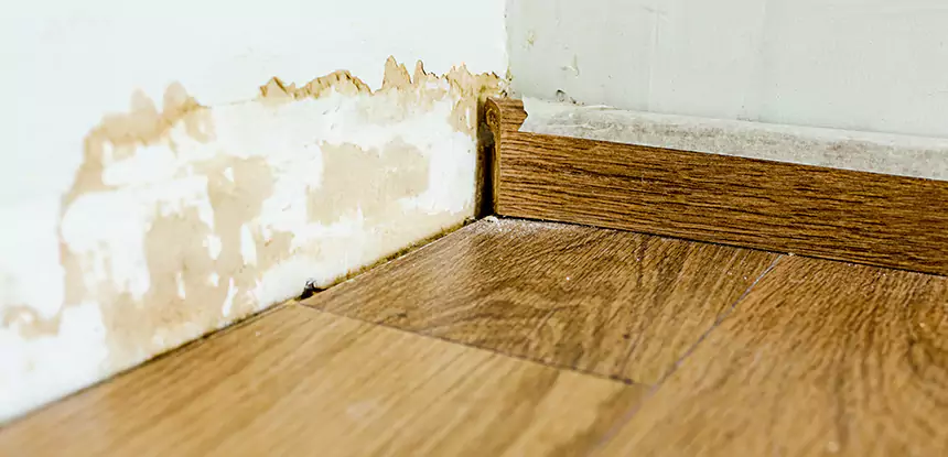 Professional Fix Water Damaged Wood Services in Rockmart, GA